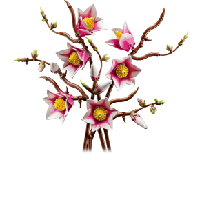 Magnolia-grene (11510)