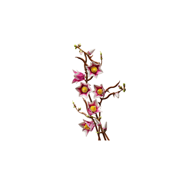 LEGO Botanicals - Magnolia-grene (11510)