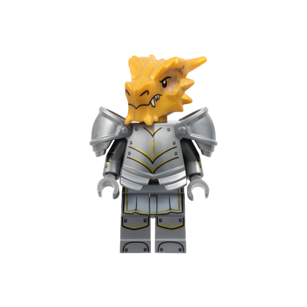 Dragonborn Paladin (coldnd-4)