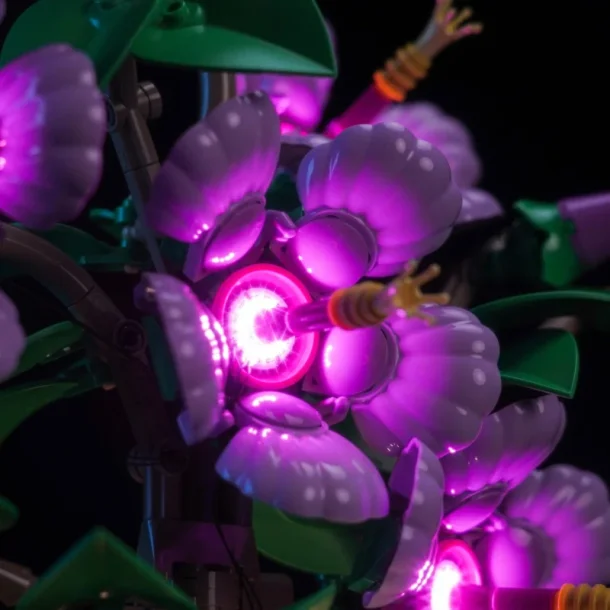 Lyskit til #10372 Hibiscus (GC1133)