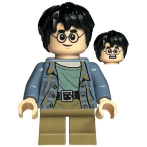 Harry Potter (HP316)