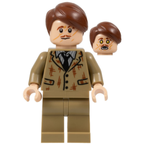 Professor Remus Lupin (HP367)