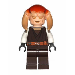 Saesee Tiin (SW0308)