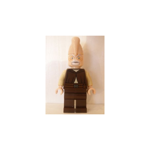 Ki-Adi-Mundi (SW0319)