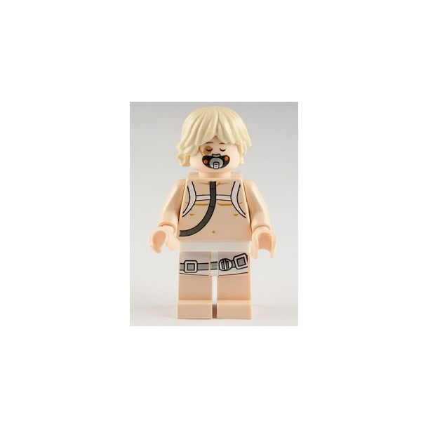 Luke Skywalker (SW0342)