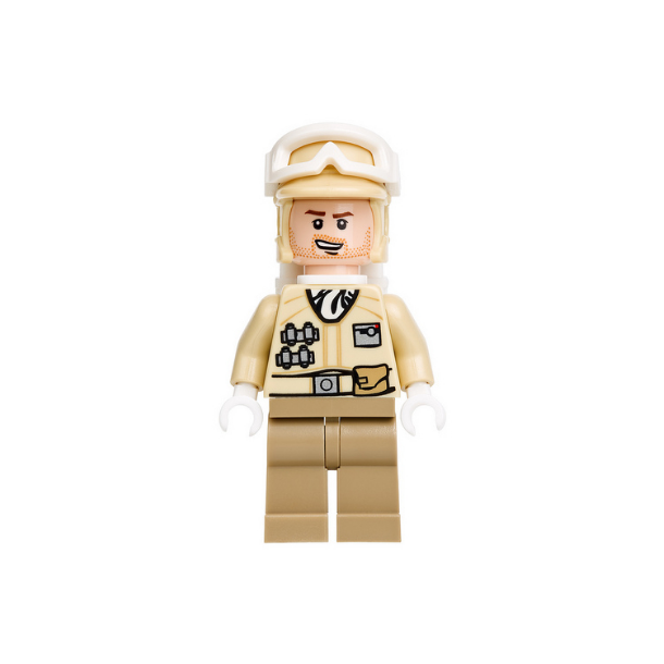 Hoth Rebel Trooper (SW0462)
