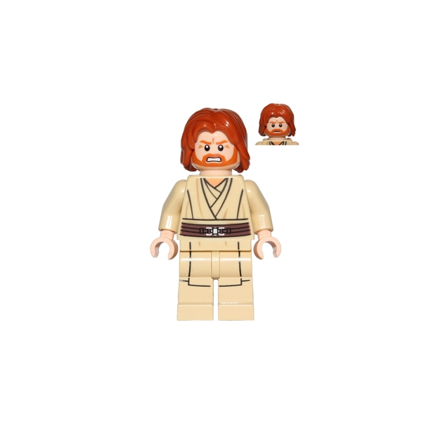 Obi-Wan Kenobi (SW0489)