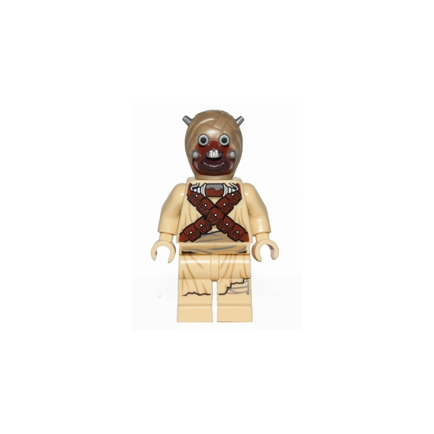 Tusken Raider (SW0620)