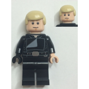 Luke Skywalker (SW0880a)
