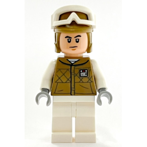 Hoth Rebel Trooper (SW1187)