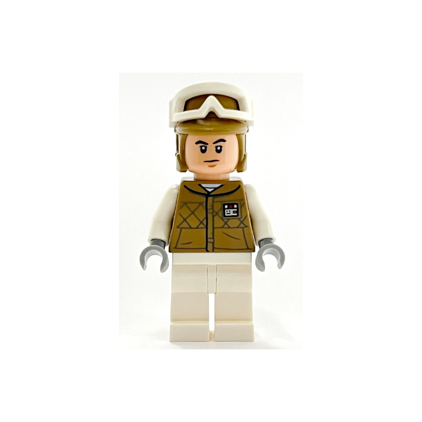 Hoth Rebel Trooper (SW1187)