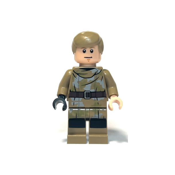 Luke Skywalker (SW1312)