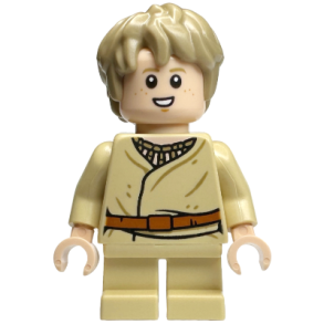 Anakin Skywalker (SW1332)