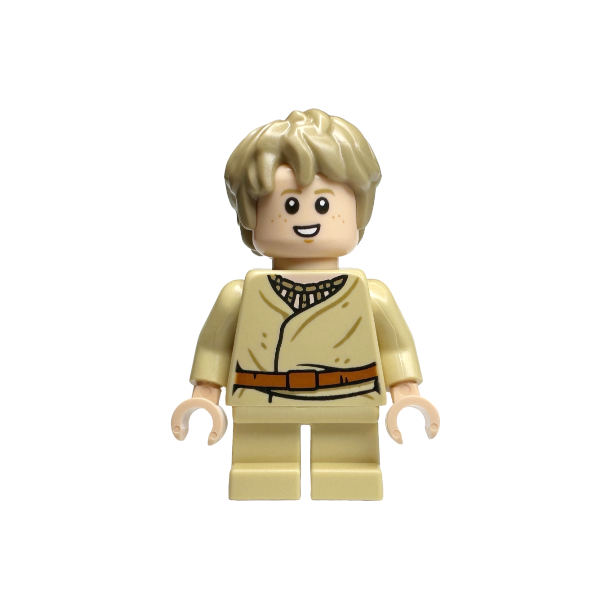 Anakin Skywalker (SW1332)